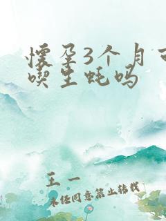 怀孕3个月可以吃生蚝吗