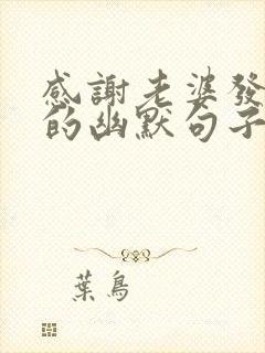 感谢老婆发红包的幽默句子