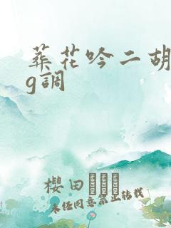 葬花吟二胡曲谱g调