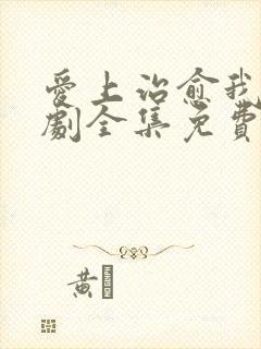 爱上治愈我电视剧全集免费