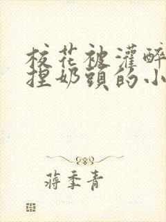 校花被灌醉扒衣捏奶头的小说