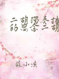 二胡独奏挡不住的思念二胡独奏