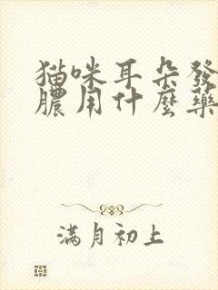 猫咪耳朵发臭流脓用什么药