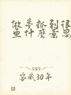 做梦抓到很多黑鱼什么意思周公解梦