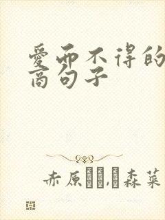 爱而不得的高情商句子