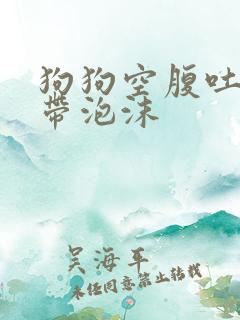 狗狗空腹吐黄水带泡沫