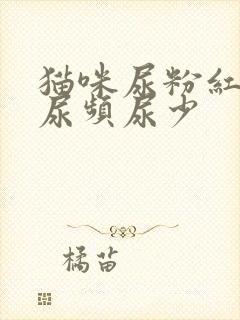 猫咪尿粉红色且尿频尿少