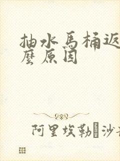 抽水马桶返臭什么原因