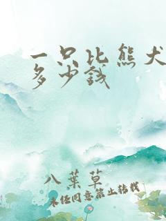 一只比熊犬狗有多少钱