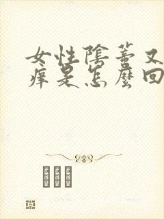 女性阴蒂又疼又痒是怎么回事