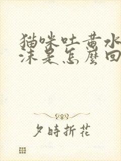 猫咪吐黄水带白沫是怎么回事