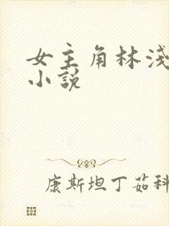 女主角林浅月的小说