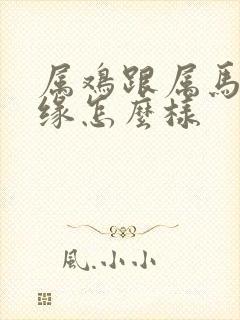 属鸡跟属马的姻缘怎么样