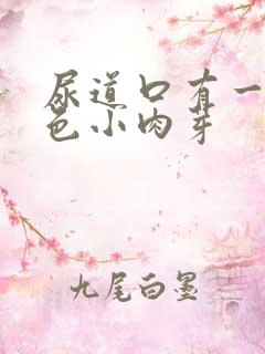 尿道口有一排白色小肉芽