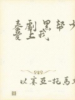 泰剧 黑帮少爷爱上我