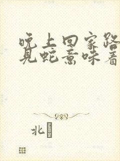 晚上回家路上遇见蛇意味着什么