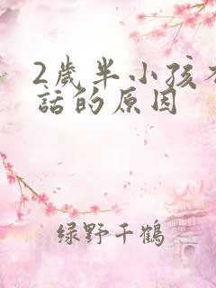 2岁半小孩不说话的原因