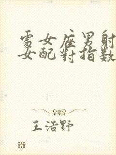 处女座男射手座女配对指数