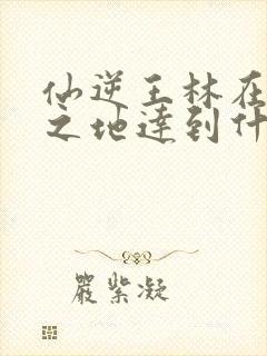 仙逆王林在妖灵之地达到什么境界