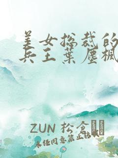 美女总裁的超级兵王叶尘枫txt