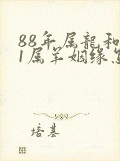 88年属龙和91属羊姻缘怎么样