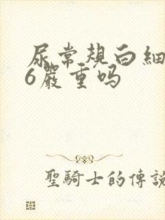 尿常规白细胞66严重吗