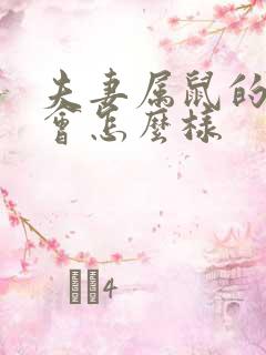 夫妻属鼠的婚姻会怎么样