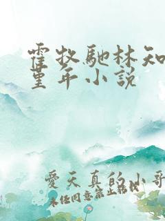 霍牧驰林知宜贺堇年小说