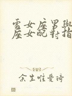 处女座男与摩羯座女配对指数