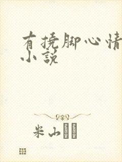 有挠脚心情节的小说