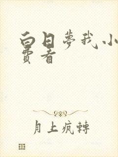 白日梦我小说免费看