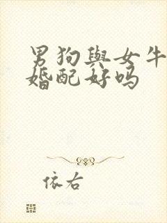 男狗与女牛属相婚配好吗