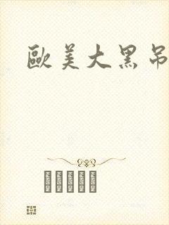 欧美大黑吊日b