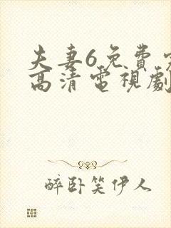 夫妻6免费完整高清电视剧看