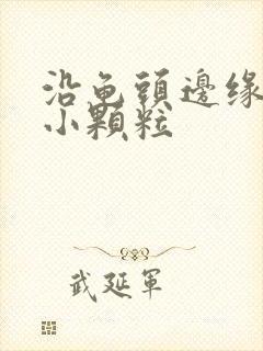 沿龟头边缘一圈小颗粒