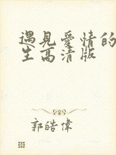 遇见爱情的利先生高清版