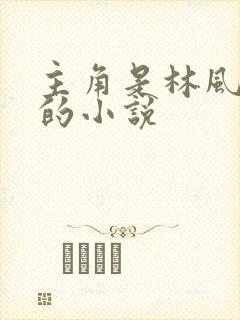 主角是林风重生的小说