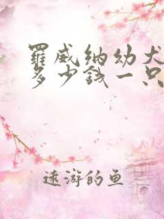 罗威纳幼犬价格多少钱一只