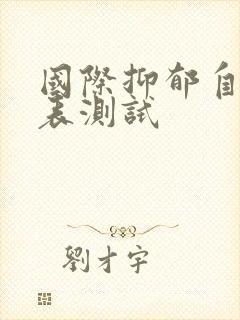 国际抑郁自评量表测试