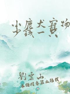 小鹿犬宠物狗多少钱一只