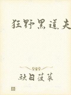 狂野黑道夫