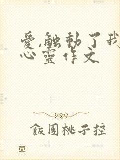 爱,触动了我的心灵作文