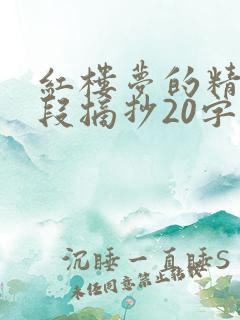 红楼梦的精彩句段摘抄20字