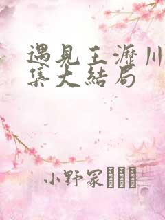 遇见王沥川56集大结局