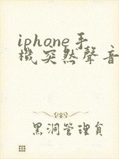 iphone手机突然声音变小了怎么回事