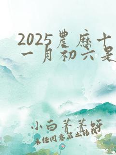 2025农历十一月初六是黄道吉日吗