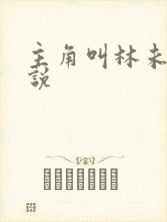 主角叫林未的小说