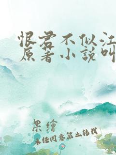 恨君不似江楼月原著小说叫什么