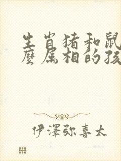 生肖猪和鼠生什么属相的孩子好