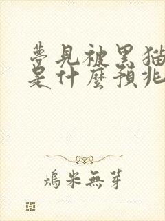 梦见被黑猫追咬是什么预兆